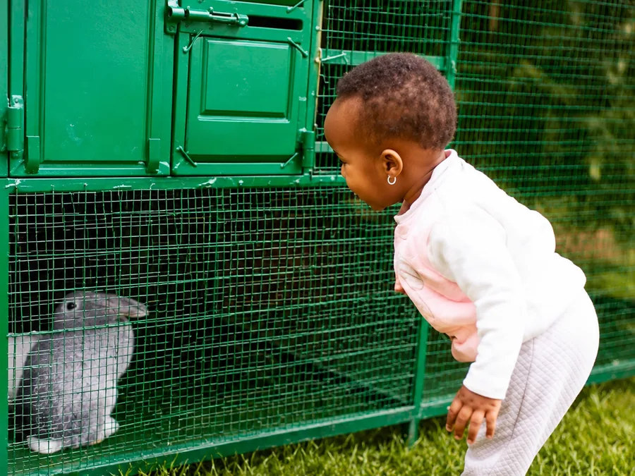 Caring for animals